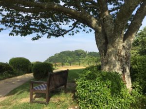 Bench in the Nippondaira Hotel garden