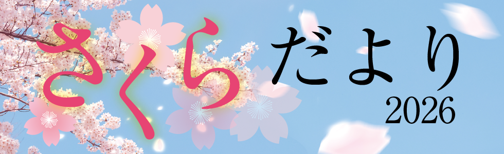 さくら便り